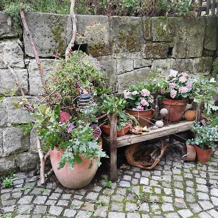 Auszeit Apartment Freital Bagian luar foto