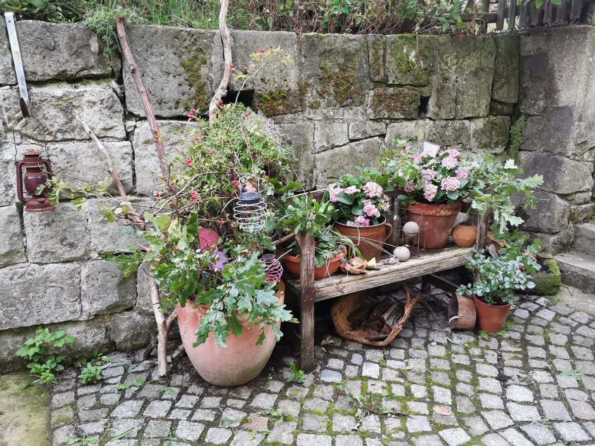 Auszeit Apartment Freital Bagian luar foto